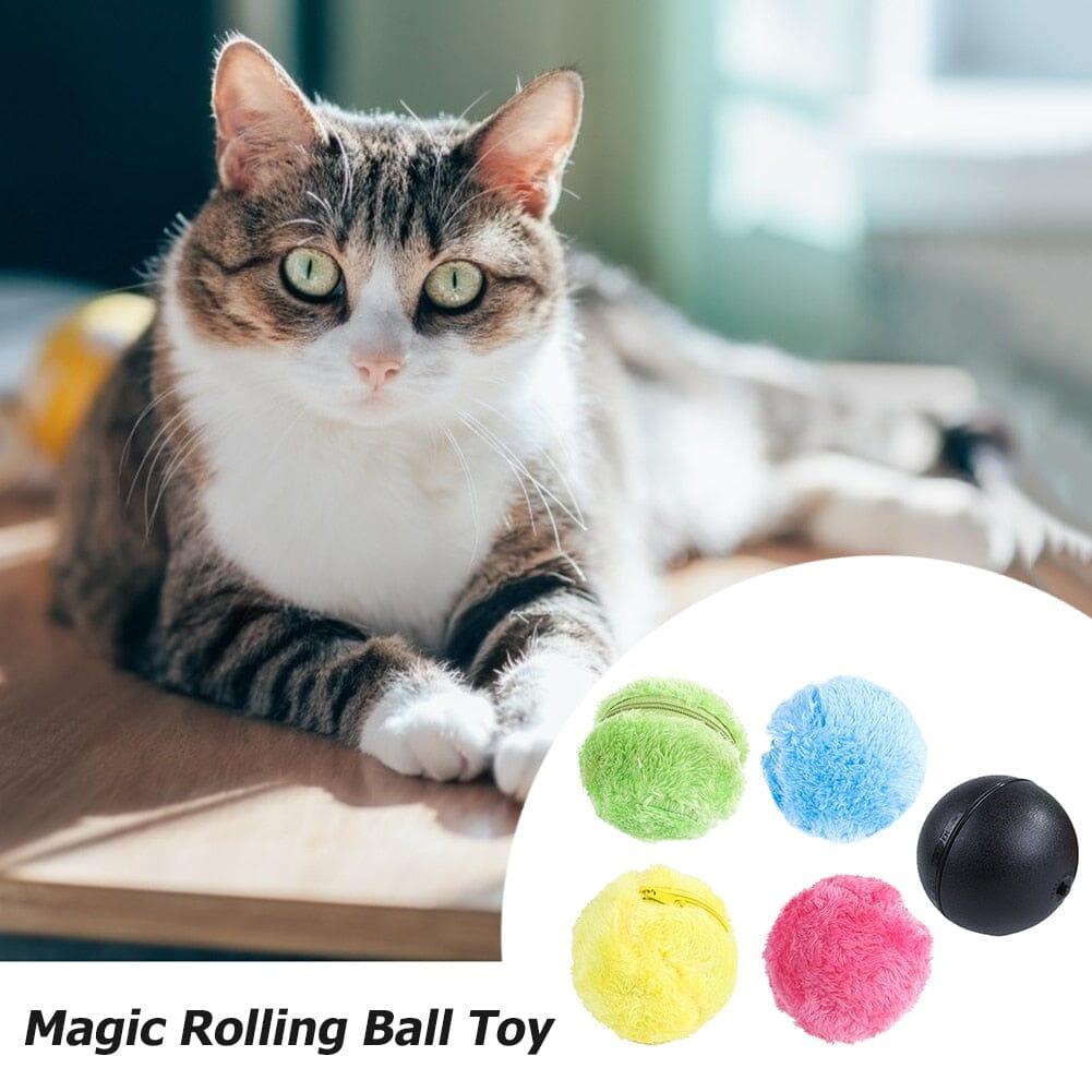 Active Rolling Ball for Pets - Homo Gears