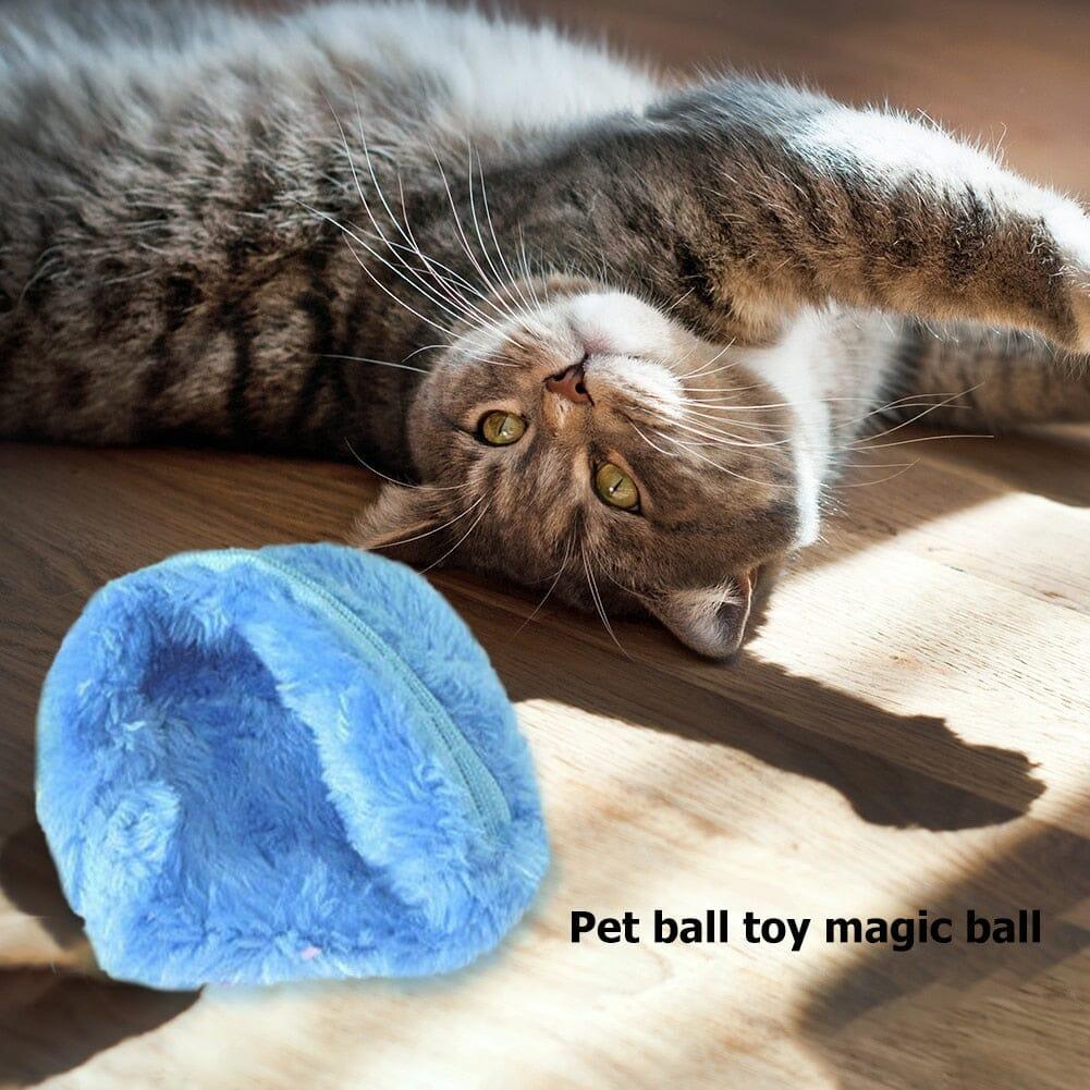 Active Rolling Ball for Pets - Homo Gears