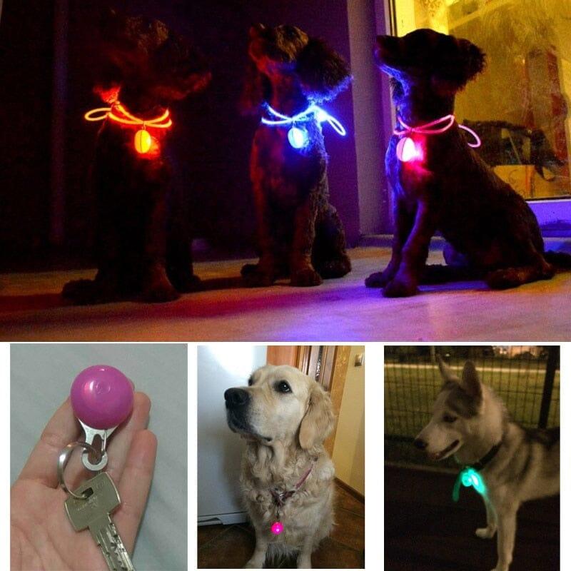 LED Flashlight Dog Cat Collar - Homo Gears